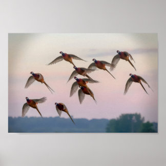 Hunt begint seizoen premiejager poster