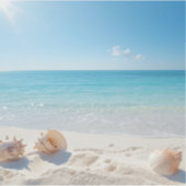 Hunt for the perfect shell sticker (Voorkant)