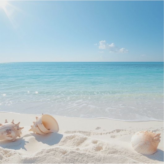 Hunt for the perfect shell sticker (Voorkant)