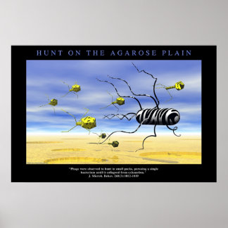 Hunt op de Agarose Plain Poster