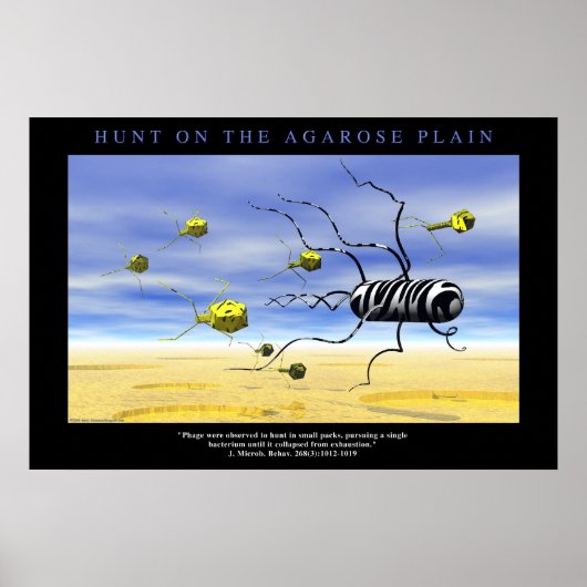 Hunt op de Agarose Plain Poster (Voorkant)