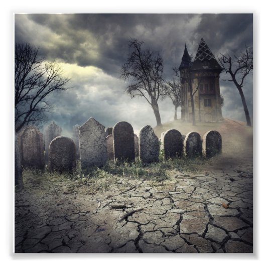 Hunted House Foto Afdruk (Voorkant)