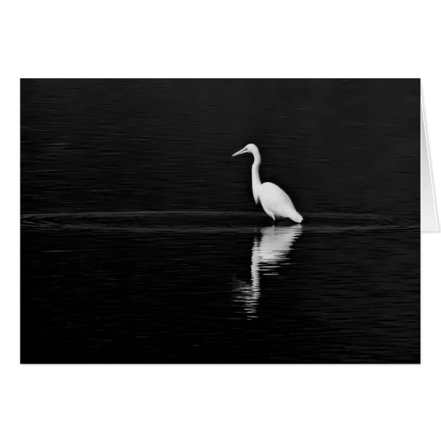 Hunter (Voorkant Horizontaal)