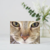 Hunter Briefkaart (Staand voorkant)