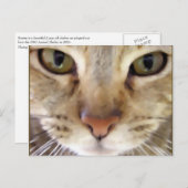 Hunter Briefkaart (Voorkant / Achterkant)