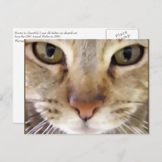 Hunter Briefkaart (Voorkant / Achterkant)