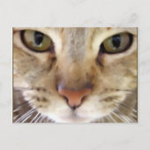 Hunter Briefkaart (Voorkant)