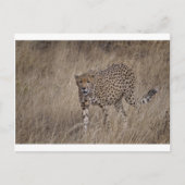 Hunter Briefkaart (Voorkant)