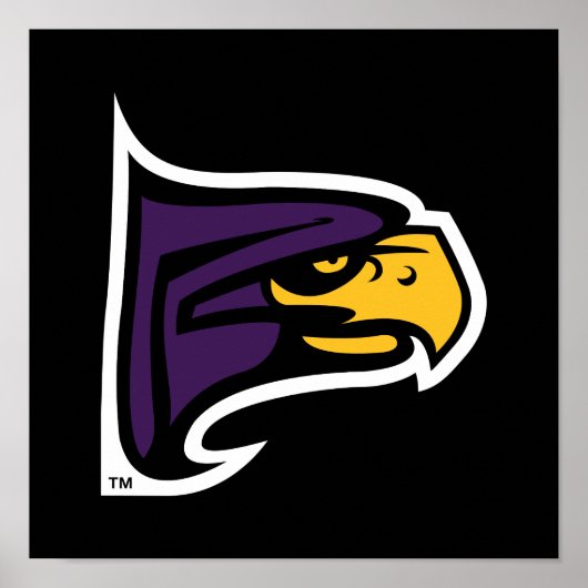 Hunter College Hawk Profiel Mascotte Poster (Voorkant)