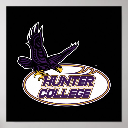 Hunter College Hawks Mascotte Poster (Voorkant)