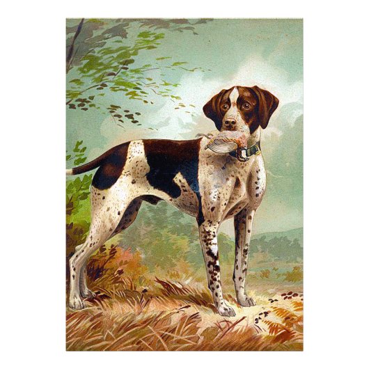 Hunter dog met vogel in de mond foto afdruk (Voorkant)