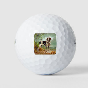Hunter dog met vogel in de mond golfballen