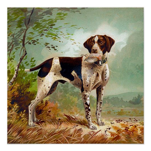 Hunter dog met vogel in de mond perfect poster (Voorkant)