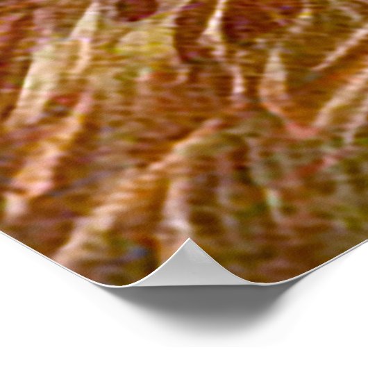 Hunter dog met vogel in de mond poster (Hoek)