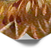 Hunter dog met vogel in de mond poster (Hoek)