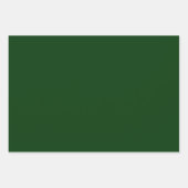 Hunter Green & White Patroon Inpakpapier Vel (Voorkant 2)