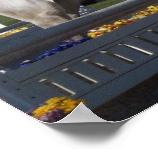 Hunter Jumper Poster (Hoek)