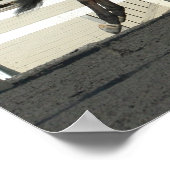 Hunter Jumper Poster 2 (Hoek)
