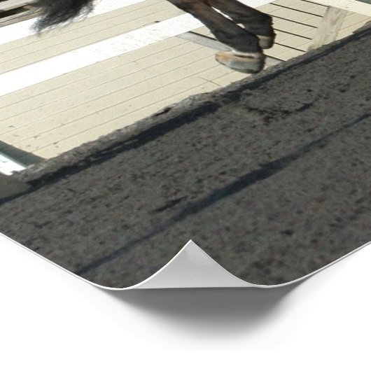 Hunter Jumper Poster 2 (Hoek)