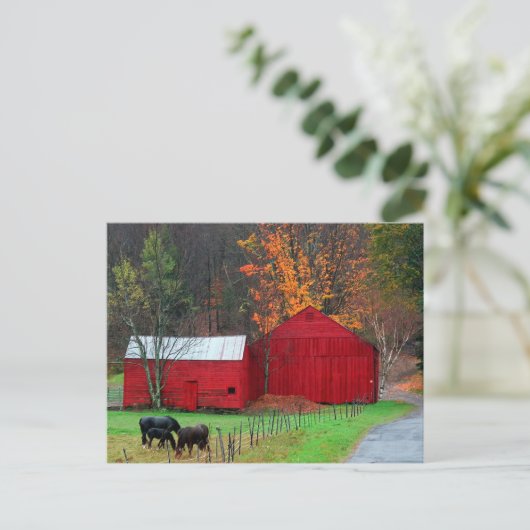 Hunter Mountain Briefkaart (Staand voorkant)