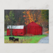 Hunter Mountain Briefkaart (Voorkant)