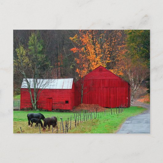 Hunter Mountain Briefkaart (Voorkant)