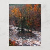 Hunter Mountain Fast Water Briefkaart (Voorkant)