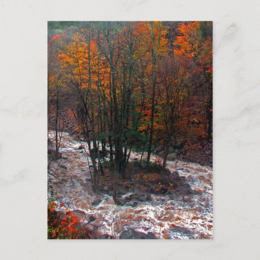 Hunter Mountain Fast Water Briefkaart (Voorkant)