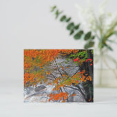 Hunter Mountain Stream Briefkaart (Staand voorkant)