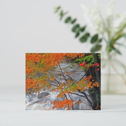 Hunter Mountain Stream Briefkaart (Staand voorkant)