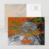 Hunter Mountain Stream Briefkaart (Voorkant / Achterkant)