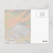 Hunter Mountain Stream Briefkaart (Achterkant)