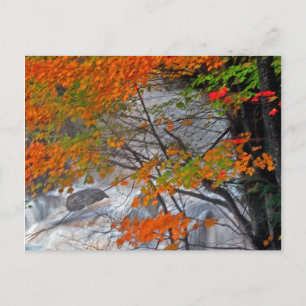 Hunter Mountain Stream Briefkaart