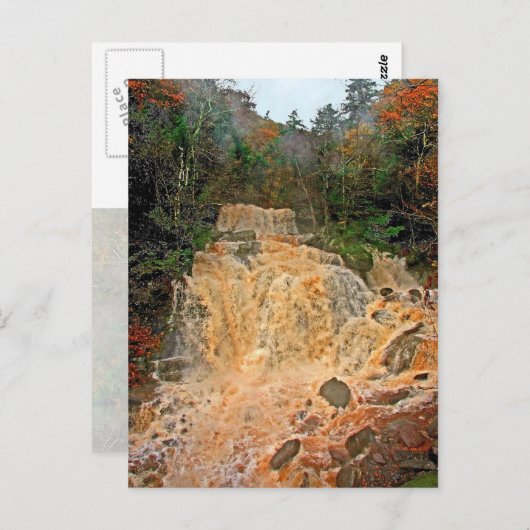 Hunter Mountain Waterfall Briefkaart (Voorkant / Achterkant)