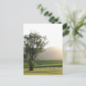 Hunter Valley, Nieuw-Zuid-Wales Briefkaart (Staand voorkant)