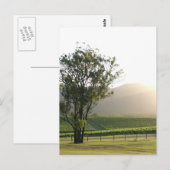 Hunter Valley, Nieuw-Zuid-Wales Briefkaart (Voorkant / Achterkant)