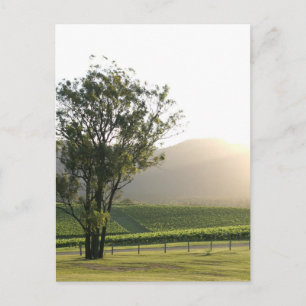 Hunter Valley, Nieuw-Zuid-Wales Briefkaart