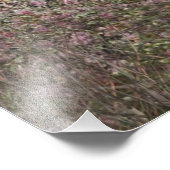 Hunteseizoen, Duitse kustwijzer Tapest Foto Afdruk (Hoek)