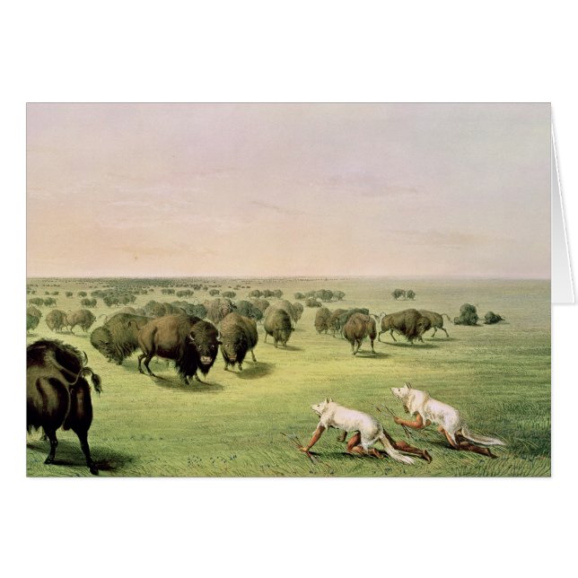Hunting Buffalo Camouflaged (Voorkant Horizontaal)
