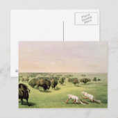 Hunting Buffalo Camouflaged Briefkaart (Voorkant / Achterkant)