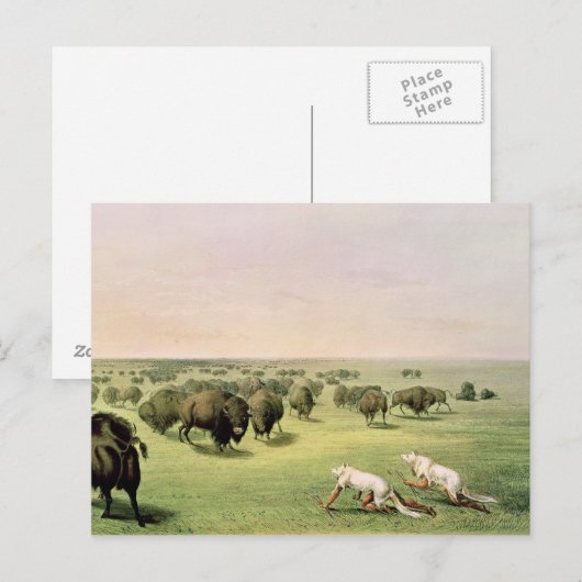 Hunting Buffalo Camouflaged Briefkaart (Voorkant / Achterkant)