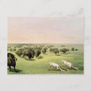 Hunting Buffalo Camouflaged Briefkaart