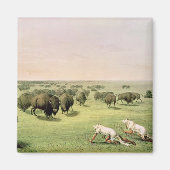 Hunting Buffalo Camouflaged Magneet (Voorkant)