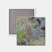 Hunting Cat Magneet (Voorkant / Achterkant)