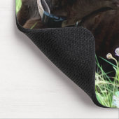 Hunting Dog Foto Chocolate Labrador Retriever Muismat (Hoek)