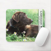 Hunting Dog Foto Chocolate Labrador Retriever Muismat (Met muis)