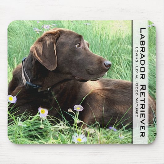 Hunting Dog Foto Chocolate Labrador Retriever Muismat (Voorkant)