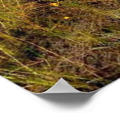 Hunting Dog in Wetlands Poster (Hoek)