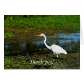 Hunting Egret Hartelijk dank (Voorkant Horizontaal)