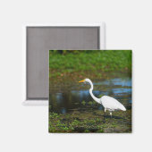 Hunting Egret Magneet (Voorkant / Achterkant)